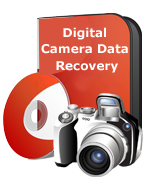 Digital Camera Data Recovery