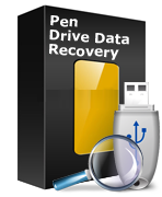 Pen Drive Data Recovery